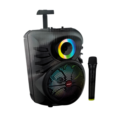 Finnteck 12" Speaker