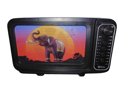 iStar Solar FM Radio