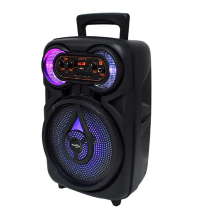 GTS-1718 Bluetooth 8" Speaker