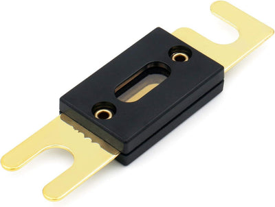 ANL 100A Fuse
