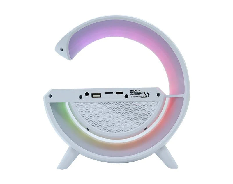 Bluetooth Speaker 4 in 1