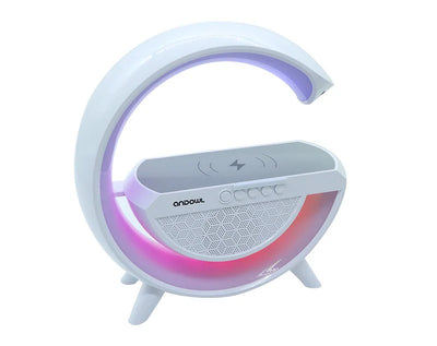 Bluetooth Speaker 4 in 1