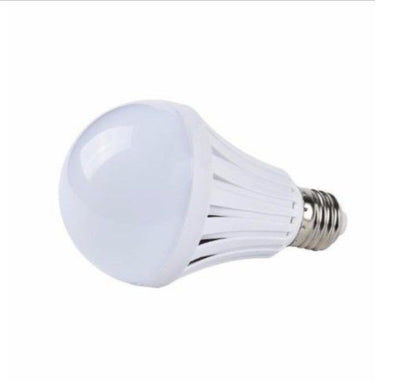 Rechargeable 9W Screw Bulb