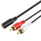 Cable AUX (F) TO 2 RCA(M)