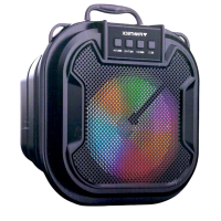 Finnteck Bluetooth Super Bass Portable Speaker