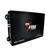 Starsound 1300W RMS 1CH Amplifier
