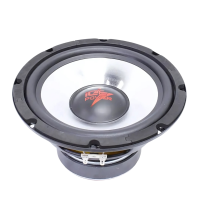 Ice Power 10″ DVC Subwoofer 3000W