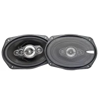 Ice Power 6X9 5-Way Speakers 600W