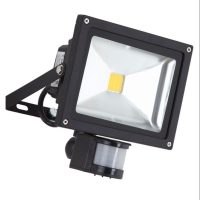 Tempest Flood Light With Motion Sensor