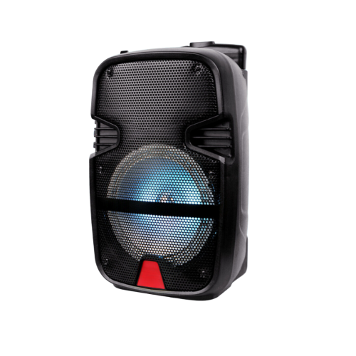 Finntek 15″ Trolley Speaker