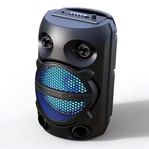 Finntek 6.5″ Portable Speaker