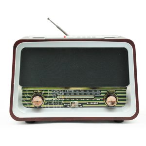 Raiseng FM/AM/SW Radio