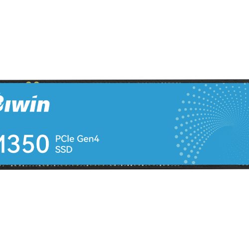 Biwin 500GB PCIe 4.0 M.2 2280 SSD | BM350NN500G-RGX