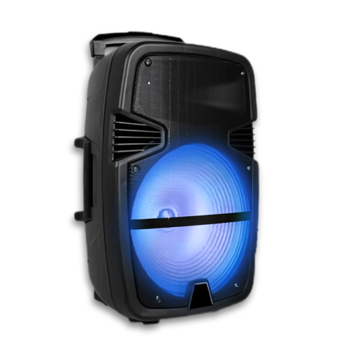Finnteck 12″ Trolley Speaker w/Microphone